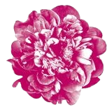 ĀKĀŚA